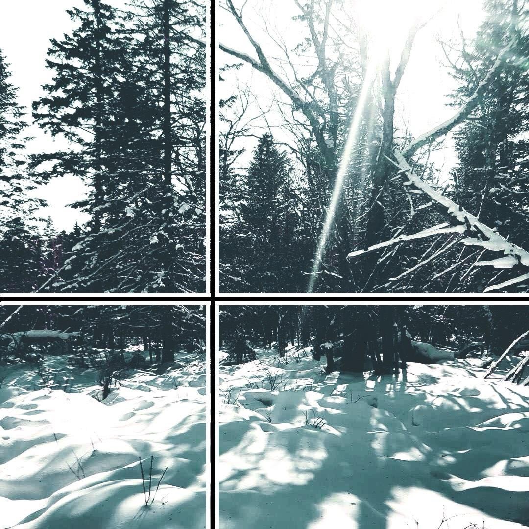 凛夜行 Journey Into The Cold Night（2019）